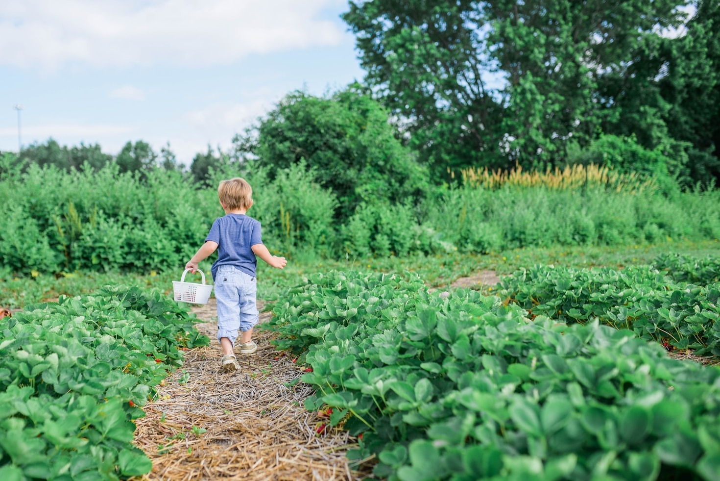 10 Essential Packing Tips When Traveling with Toddlers